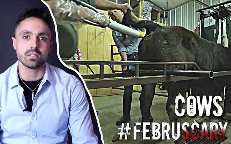The SCARY Ways Humans Violate COWS | FebruSCARY | EP.1